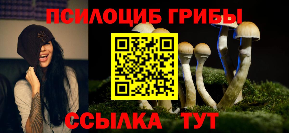 Псилоцибиновые грибы Cubensis  Псилоцибиновые грибы мухоморы  Вход с VPN  Звенигород 